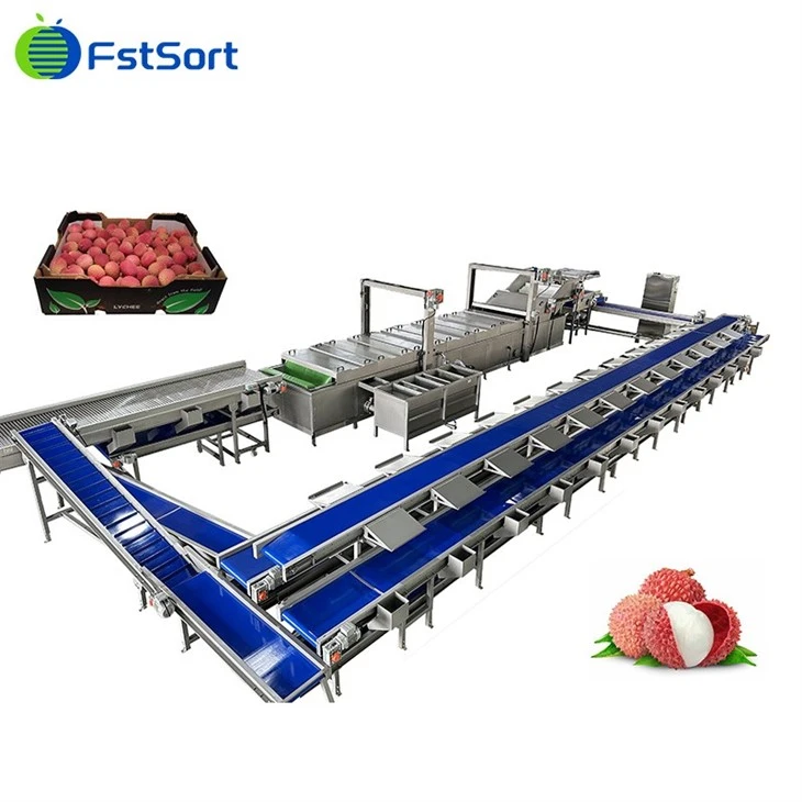Máy đóng gói vải thiều
